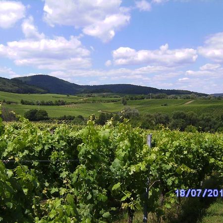 شقة لينسفياير  في Feriendorf Sonnenberg المظهر الخارجي الصورة